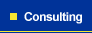 Consulting Services